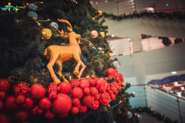 Коледна украса на Мол Велико Търново 2018г. 